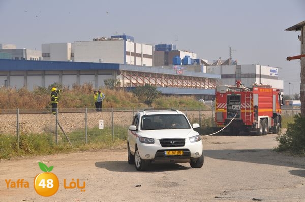 firecartoonsecnd506 (46).JPG